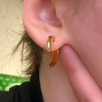 PENDIENTES DE CUERNO (PAR) 