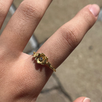 ANILLO FLOR DE NACIMIENTO (AJUSTABLE) 