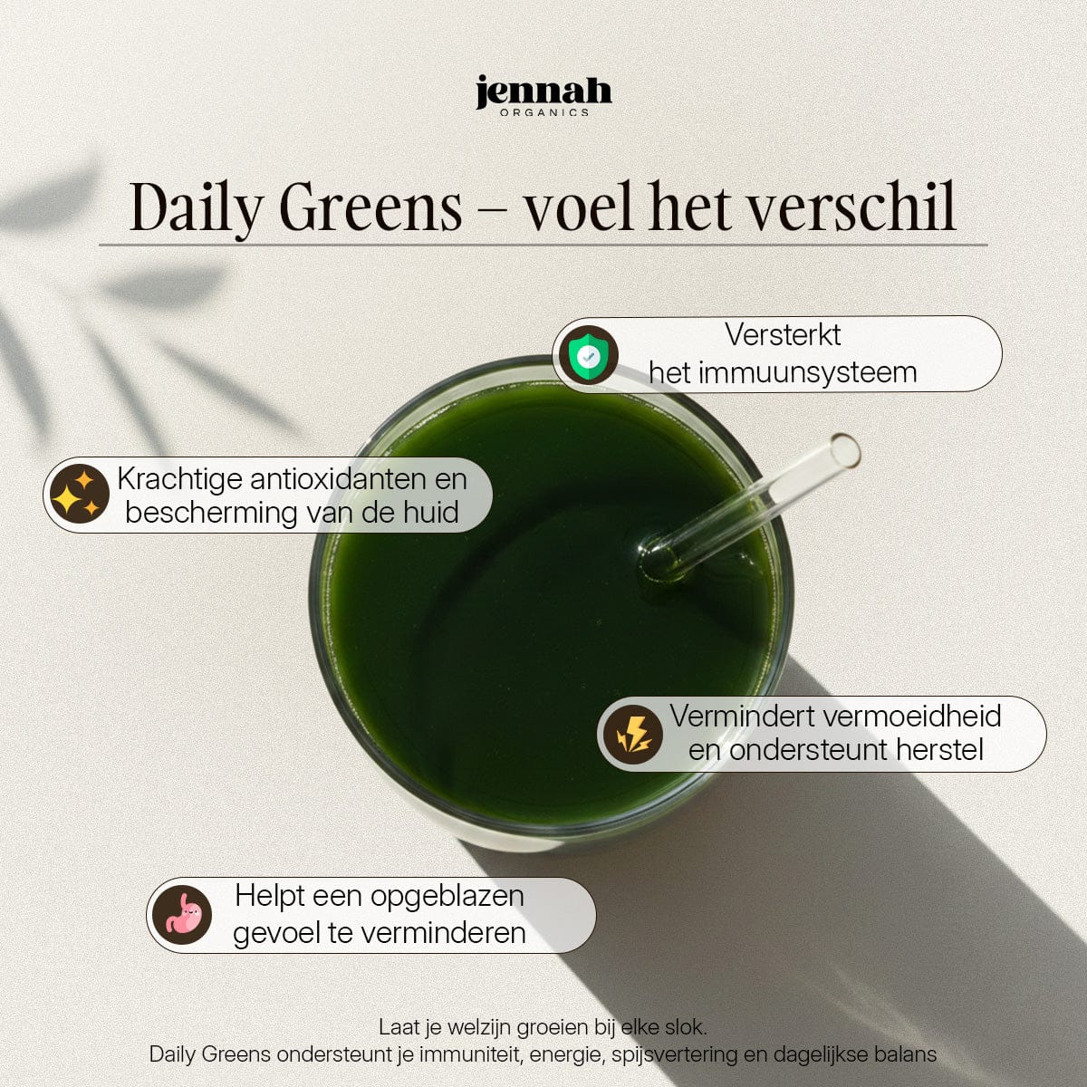 Daily Greens | 20+ Superfoods, Pre- & Postbiotica in Één Stick