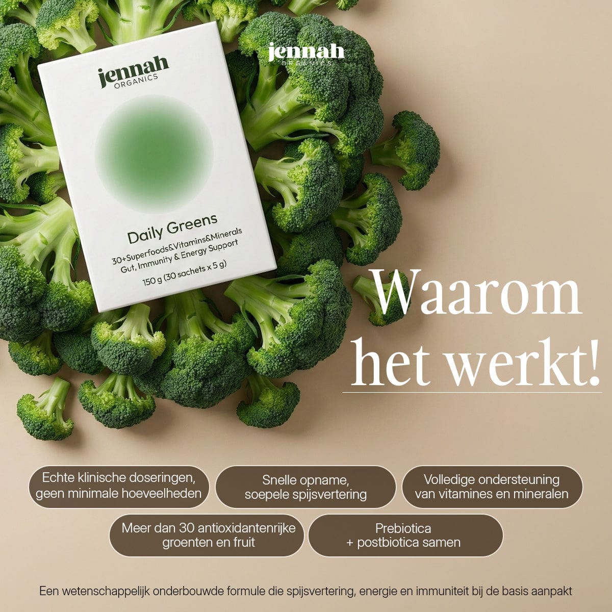Daily Greens | 20+ Superfoods, Pre- & Postbiotica in Één Stick