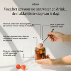 Burn Boost | Cafeïnevrije Fat Burner met Prebiotica